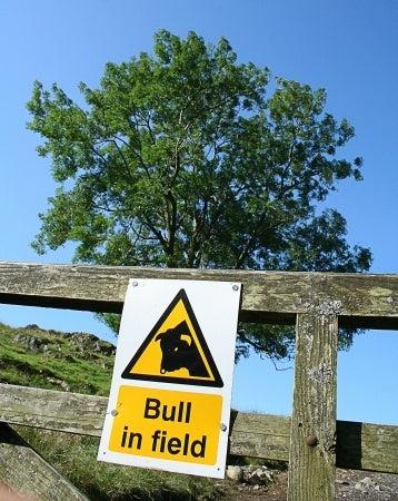 Farm signs: a serious matter - The Sign Shed