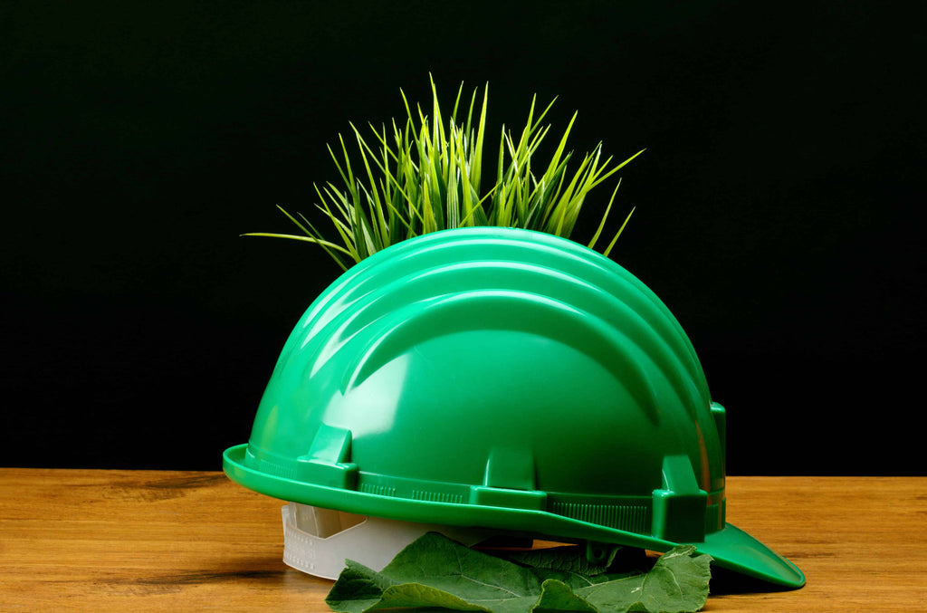 Sustainability and Workplace Safety