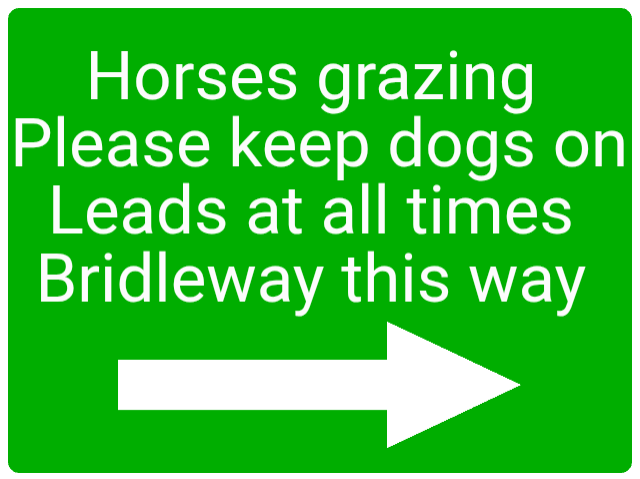 Custom Green Sign Right Arrow Landscape
