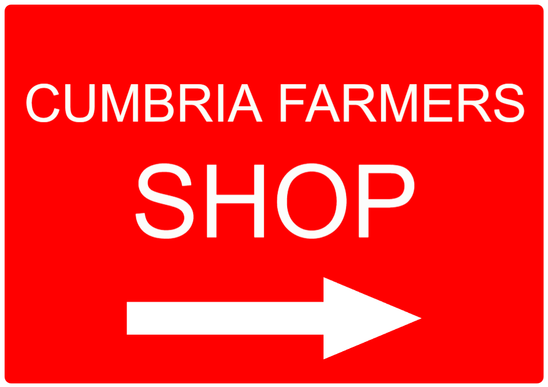 Custom Red Sign Right Arrow Landscape