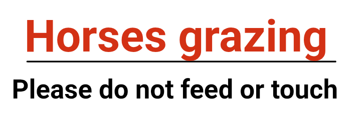 Custom Landscape Parking Sign