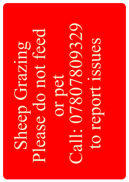 Custom Red Sign Portrait