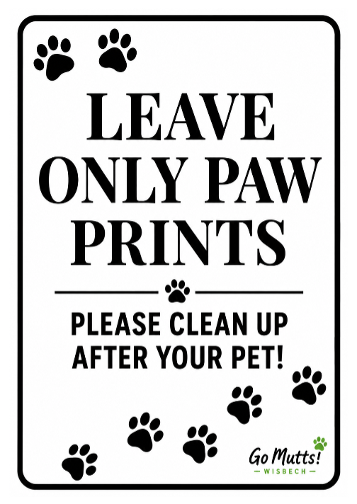 Custom White Sign Portrait