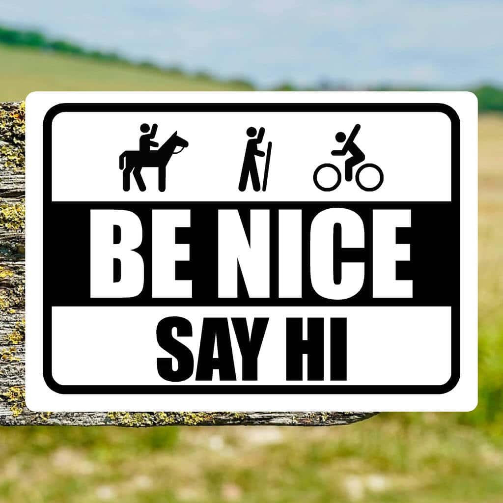 Be Nice Pun Sign Be Nice Say Hi Sign - The Sign Shed