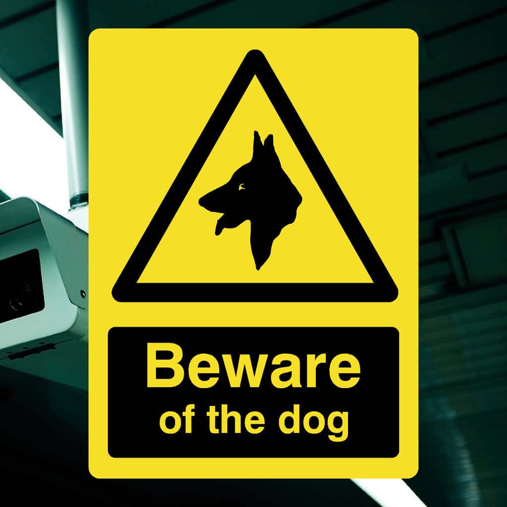 Beware Of The Dog Yellow Sign - The Sign Shed