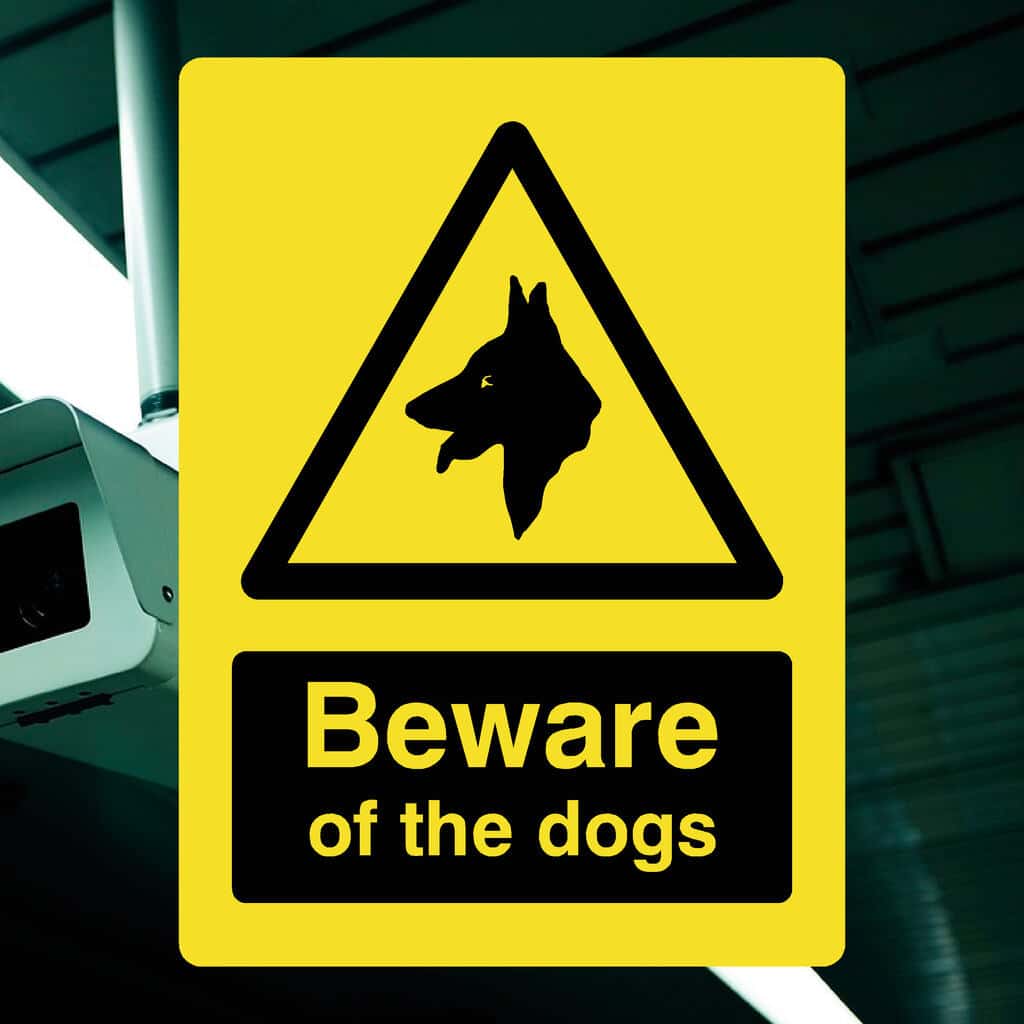 Beware Of The Dogs Yellow Sign - The Sign Shed