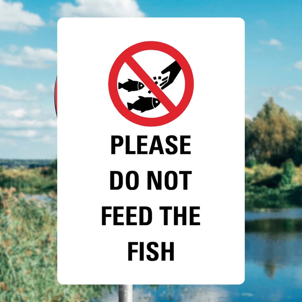 Do Not Feed Fish Sign – Water Safety, Durable, UK-Made – The Sign Shed