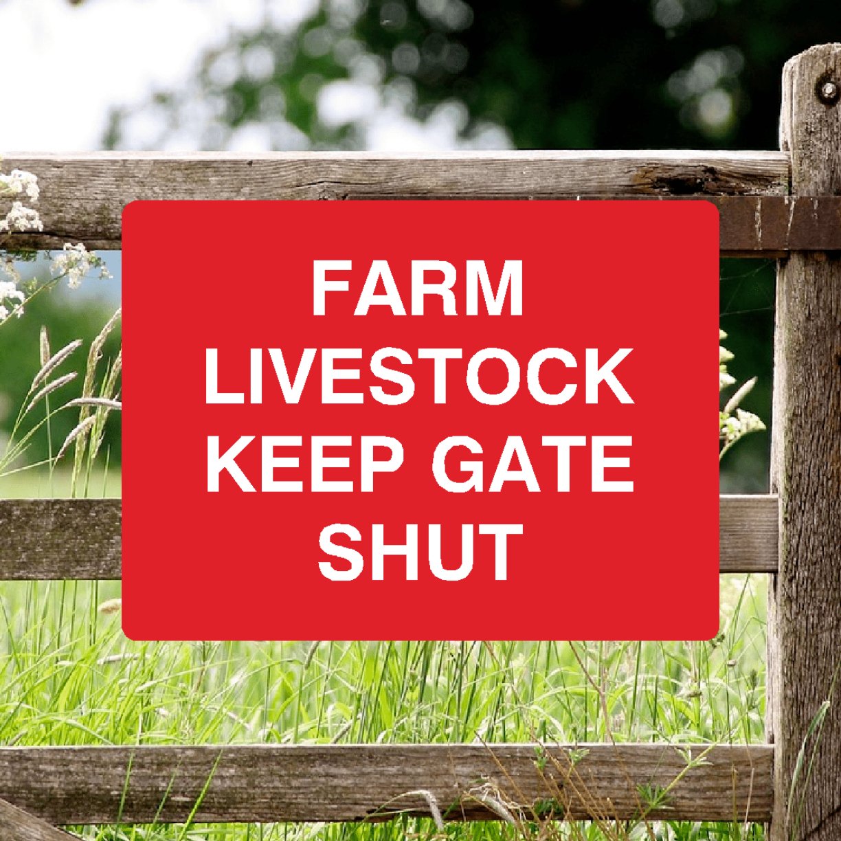 Farm Livestock Keep Gate Shut Full Colour Sign - The Sign Shed