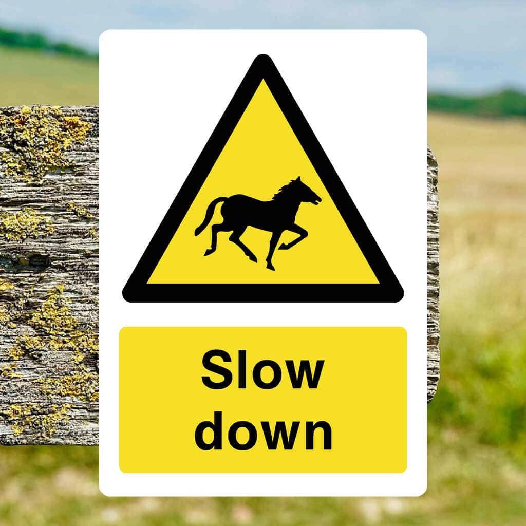 Slow Down Horses Sign - The Sign Shed