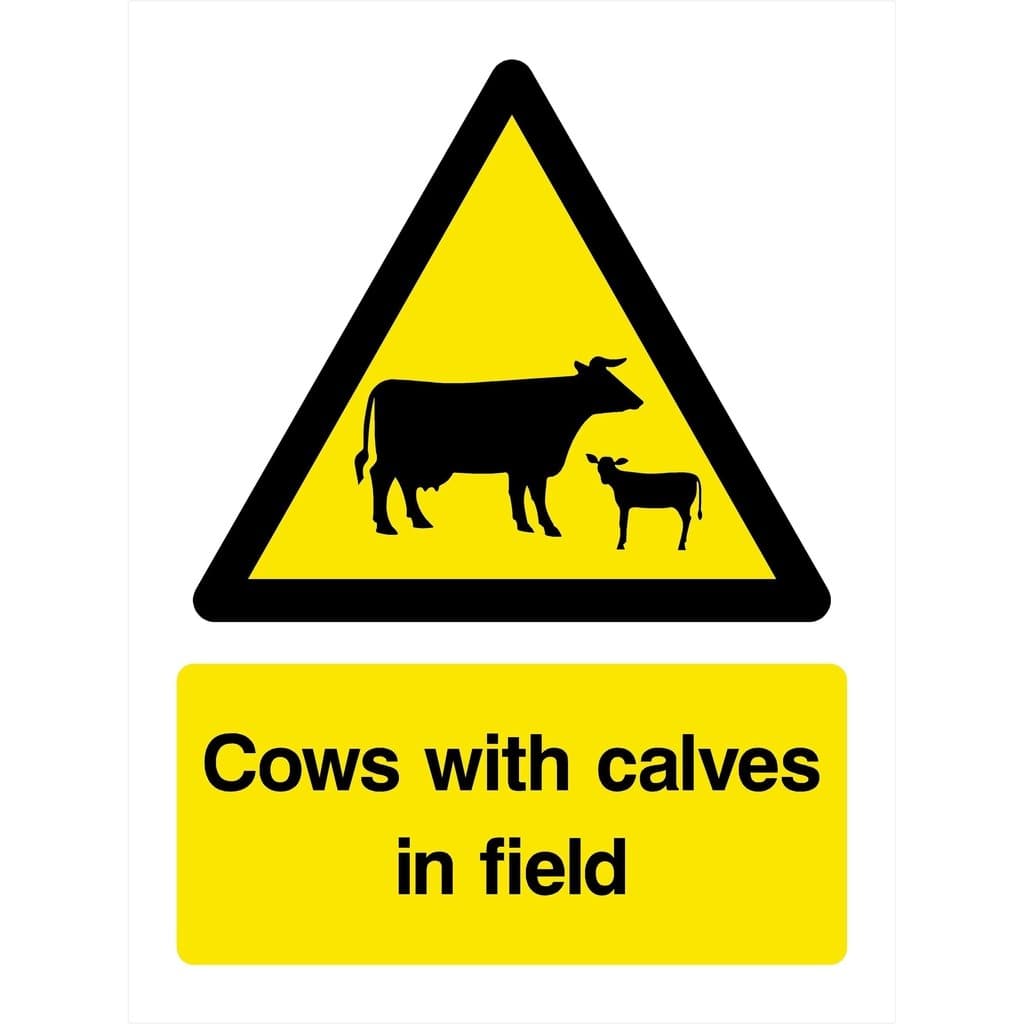 Cows with Calves in Field Warning Sign