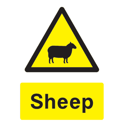 Sheep Warning Sign - The Sign Shed